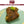 Load image into Gallery viewer, Churo Herbal Pork Jokbal Bone-In, 600g