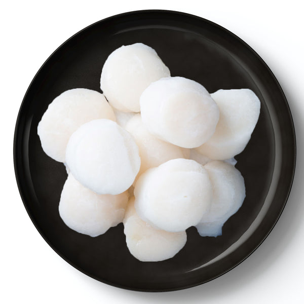 Frozen Scallop, 375 G