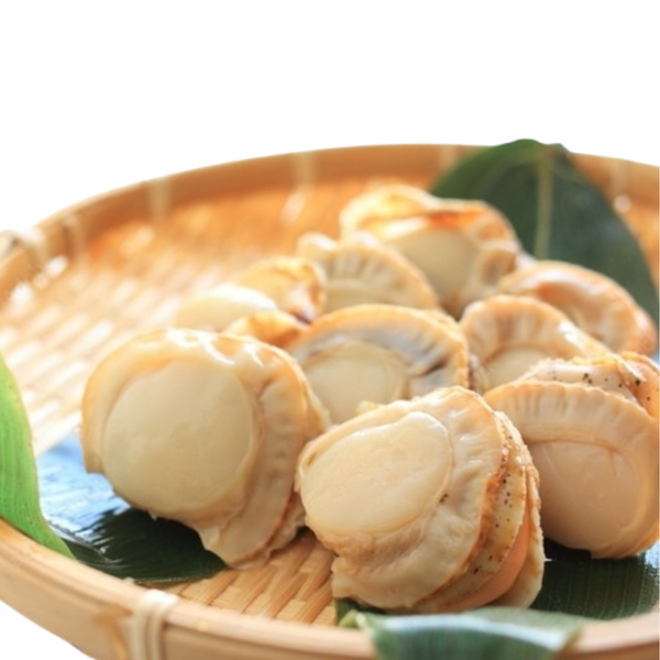 Frozen Boiled Scallops, 500g