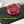Hego Black Angus Grass Fed Tenderloin, 200 G