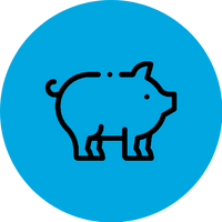 PORK