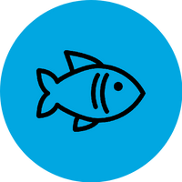 SEAFOOD