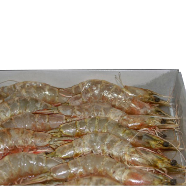 Ang Kar Prawn 1kg