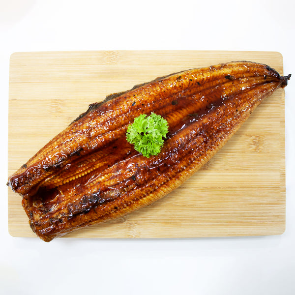 Unagi Eel ready to cook